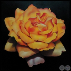 ROSAS, 2011 - Óleo de MABEL ORUÉ